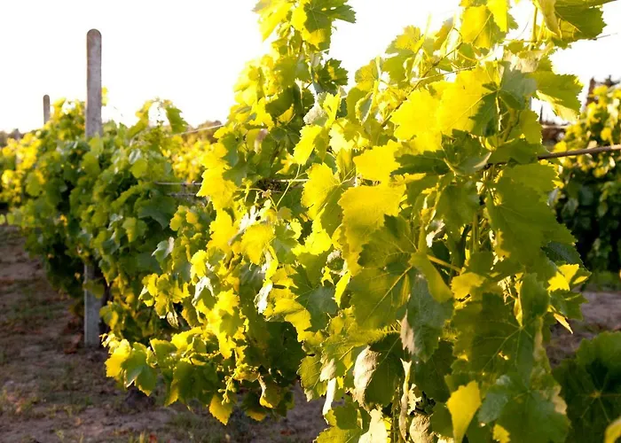 Guest house Via Dei Mari